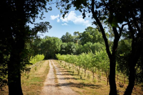 Ferme Saint-Georges en Provence